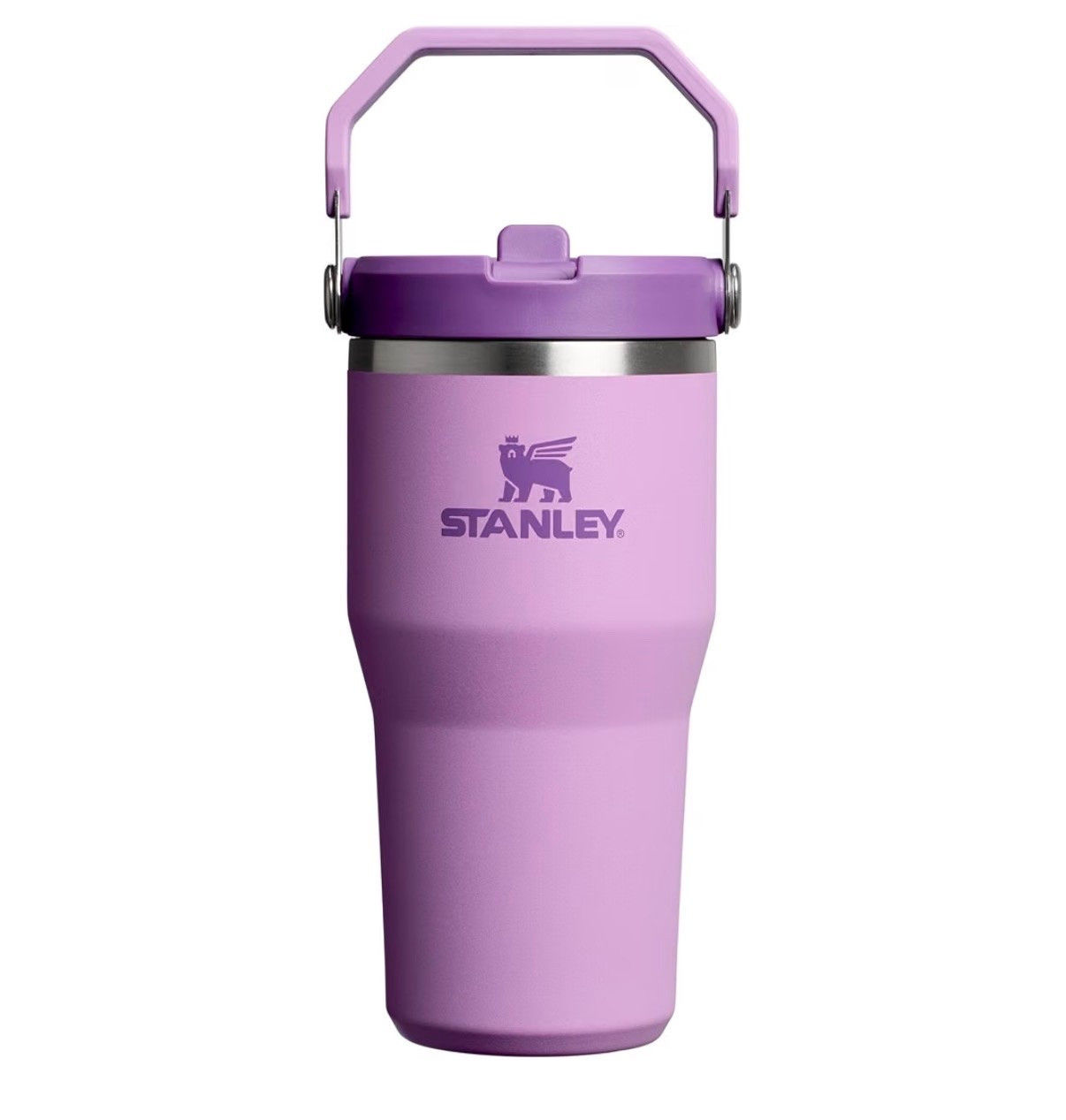 STANLEY IceFlow 2.0 Flip Straw Tumbler, 20 oz, Lilac
Easy Carry Handle | Twist On Lid and Flip Up Straw | Leak Resistant Water Bottle | Insulated Stainless Steel | BPA-Free