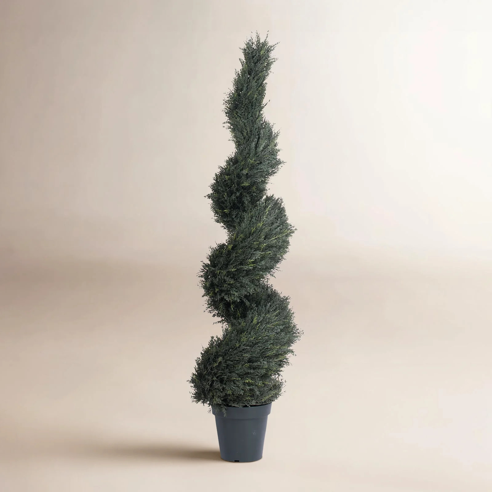 63'' Faux Cedar Topiary in Pot | Birch Lane