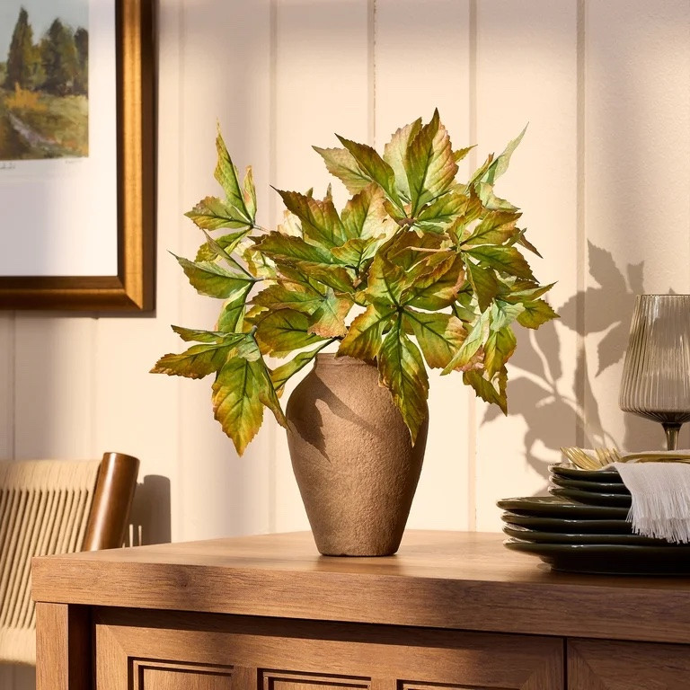 Introducing the Better Homes and Gardens 20"H Artificial Real Tocuh Fall Leaves in 7"H Tan Ceramic Vase. This arrangement is an easy and stunning way to add a pop of Harvest feel and charm to any room in your home. This beautiful arrangement features brings the joy of Harvest to indoors. The arrangement comes in a stylish cream vase that adds a touch of elegance and sophistication to the design. The vase is both sturdy and lightweight, making it easy to move and position the arrangement wherever you need it.

#LTKmorningroutine #LTKSeasonal #LTKHome