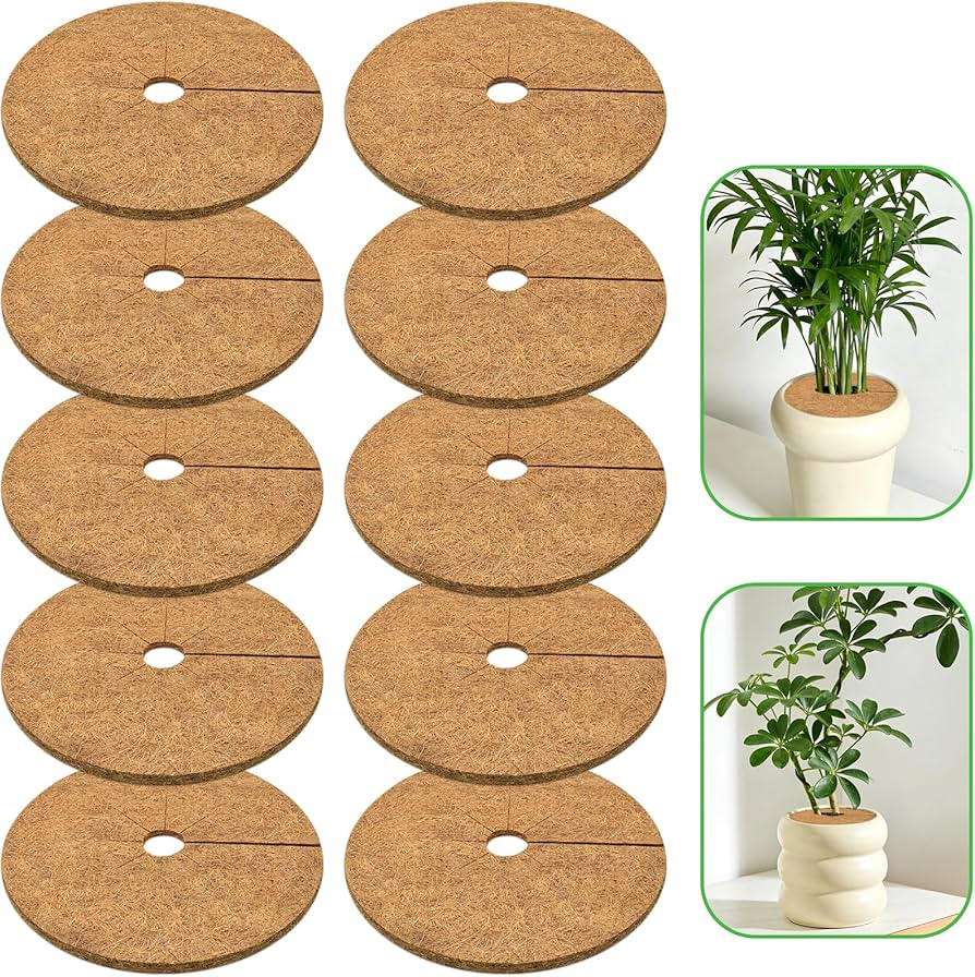ZeeDix 10 Pack Coconut Fiber Mulch Ring, 6 Inch Coco Coir Tree Ring Mulch Mat, 100% Natural Tree ... | Amazon (US)