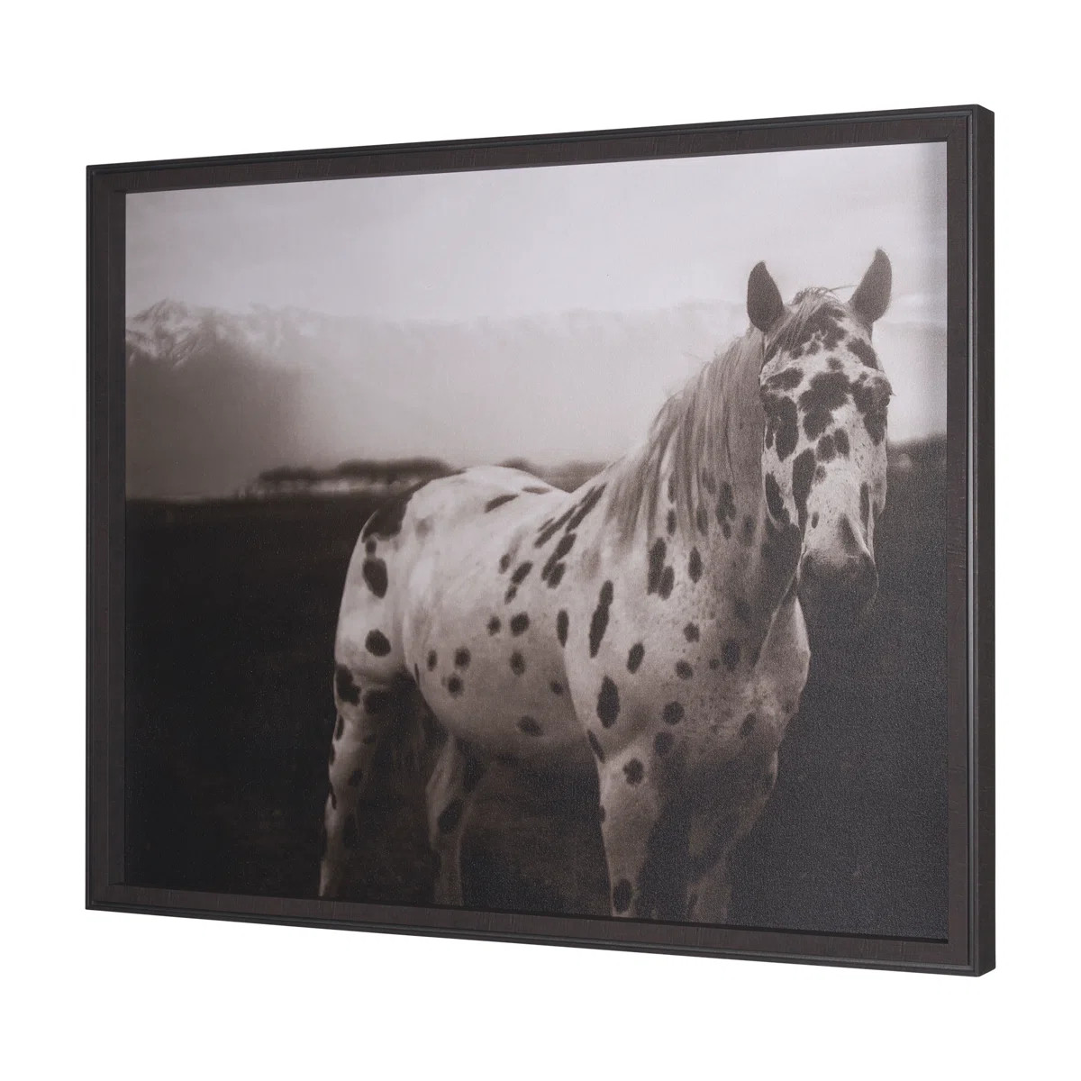 Spotted Solo by Nathan Kane a Hand Embelished Textured Framed Art Print | Wayfair North America