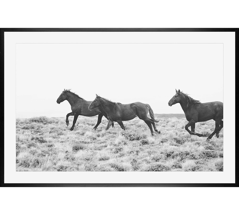 American Wild Horses by Jennifer Meyers | Pottery Barn (US)