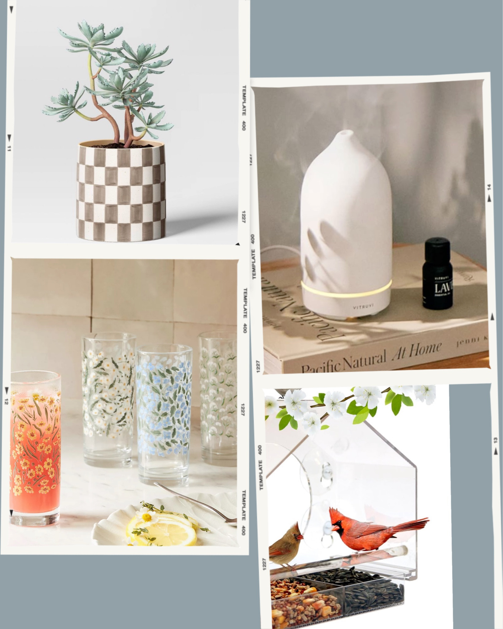 May’s Golden 5 Picks🌼
Background Color/Paint Color: Benjamin Moore HC-145 Van Courtland Blue 