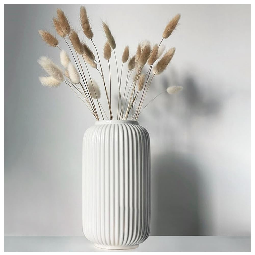 White Vase, Ceramic Ribbed Vase for Flowers and Pampas Grass, 8 Inch Simple Modern Table Vase for... | Amazon (US)