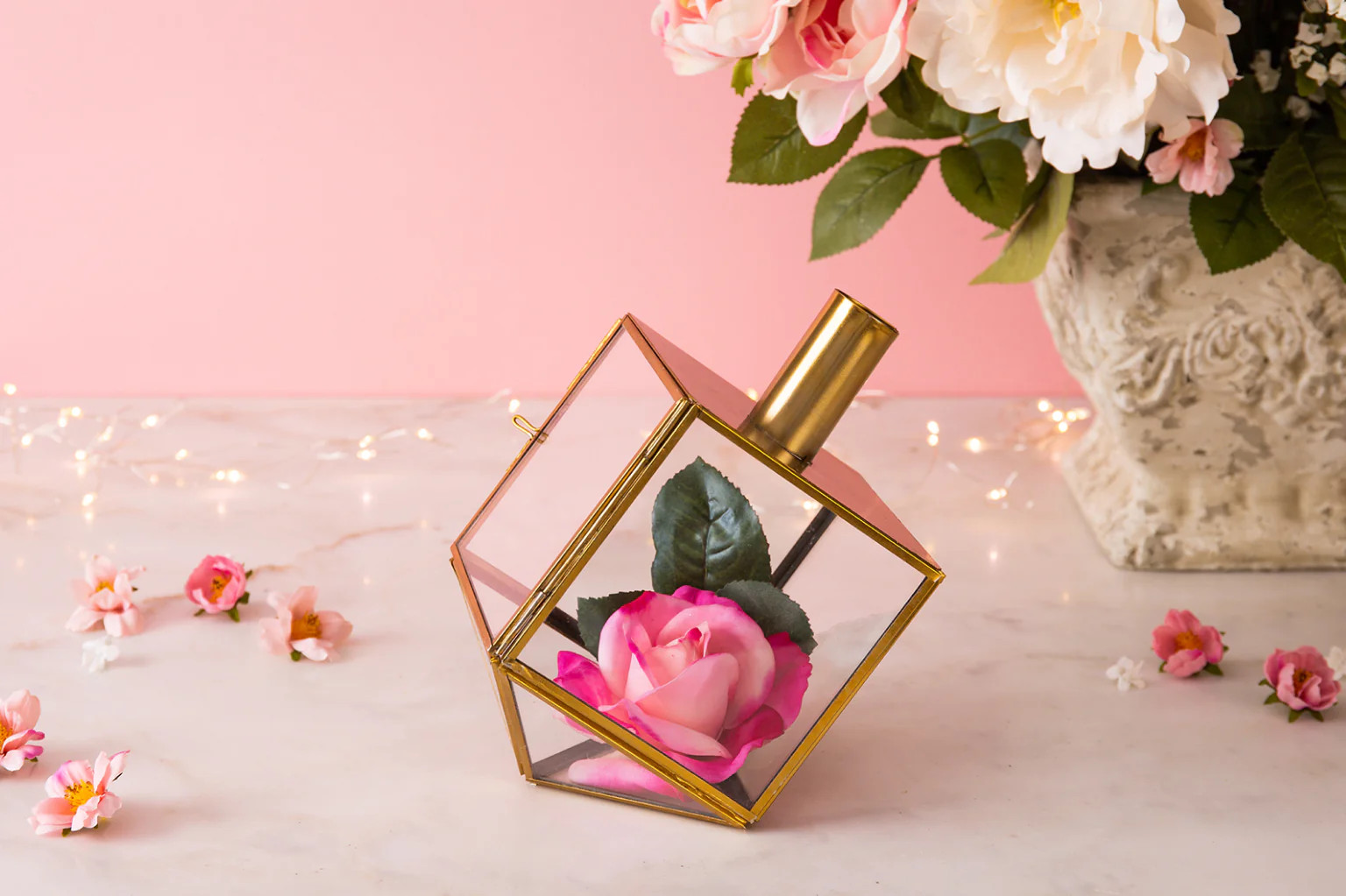 Talia Dreidel Terrarium - Valentine's Day Special | Adara Rituals