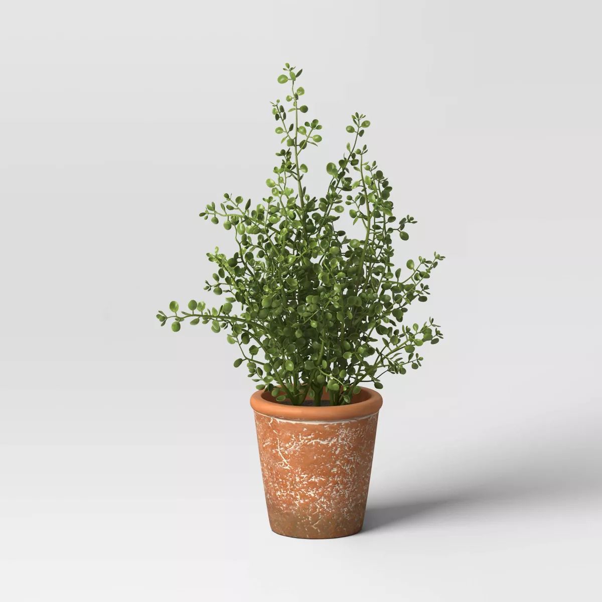 16" Unsheared Boxwood Artificial Plant - Threshold™ designed with Studio McGee | Target
