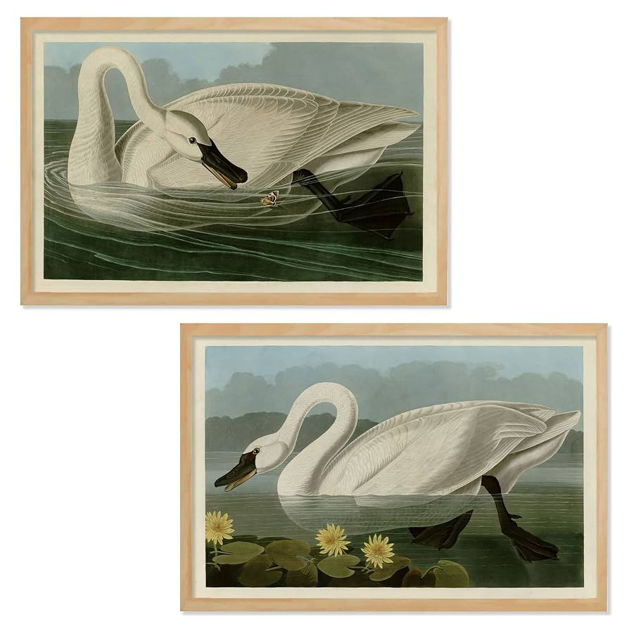Ujoyful Vintage Snow White Swan Art Print | Set of 2 Antique White Birds Wall Art | Lake Nature W... | Amazon (US)