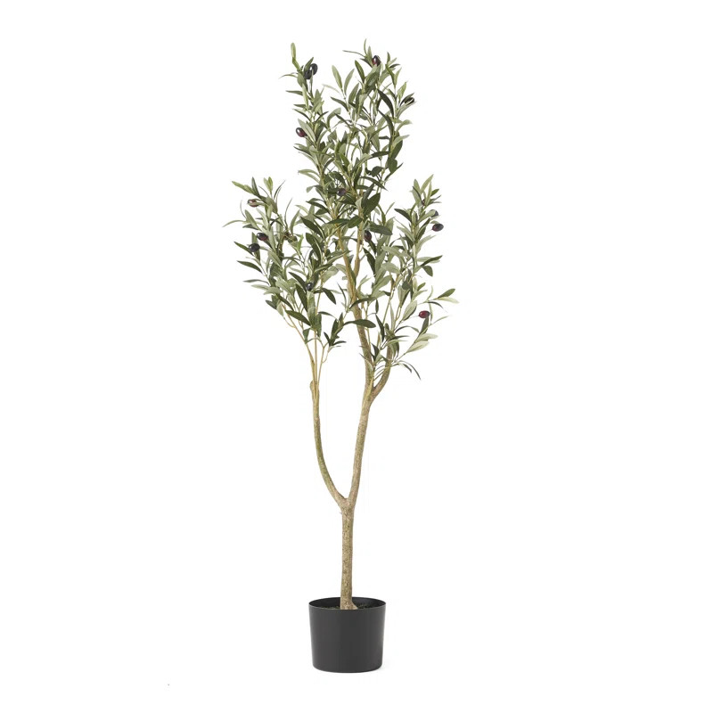 Aarav Faux Olive Tree Tree in Pot | Wayfair North America