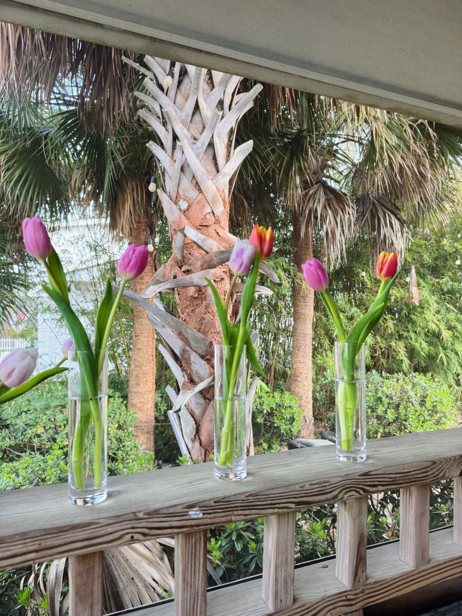 Love these vases! 12 for $35 