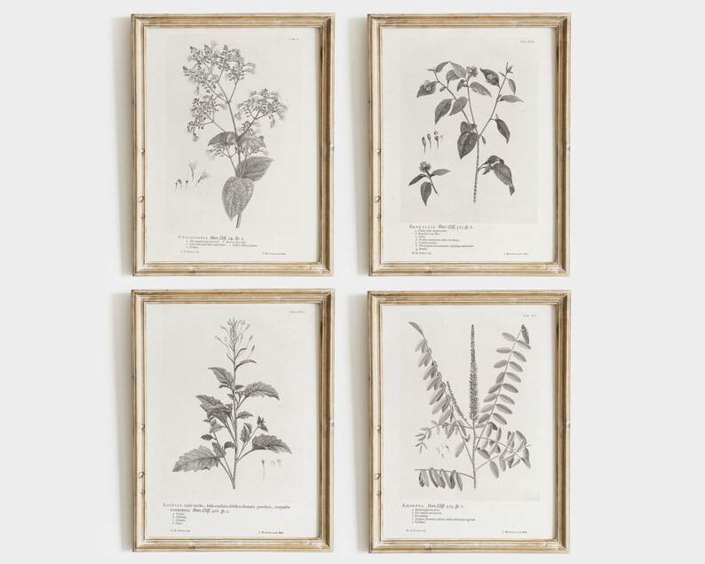 Botanical Prints SET  Farmhouse Decor  Vintage Art  | Etsy | Etsy (US)