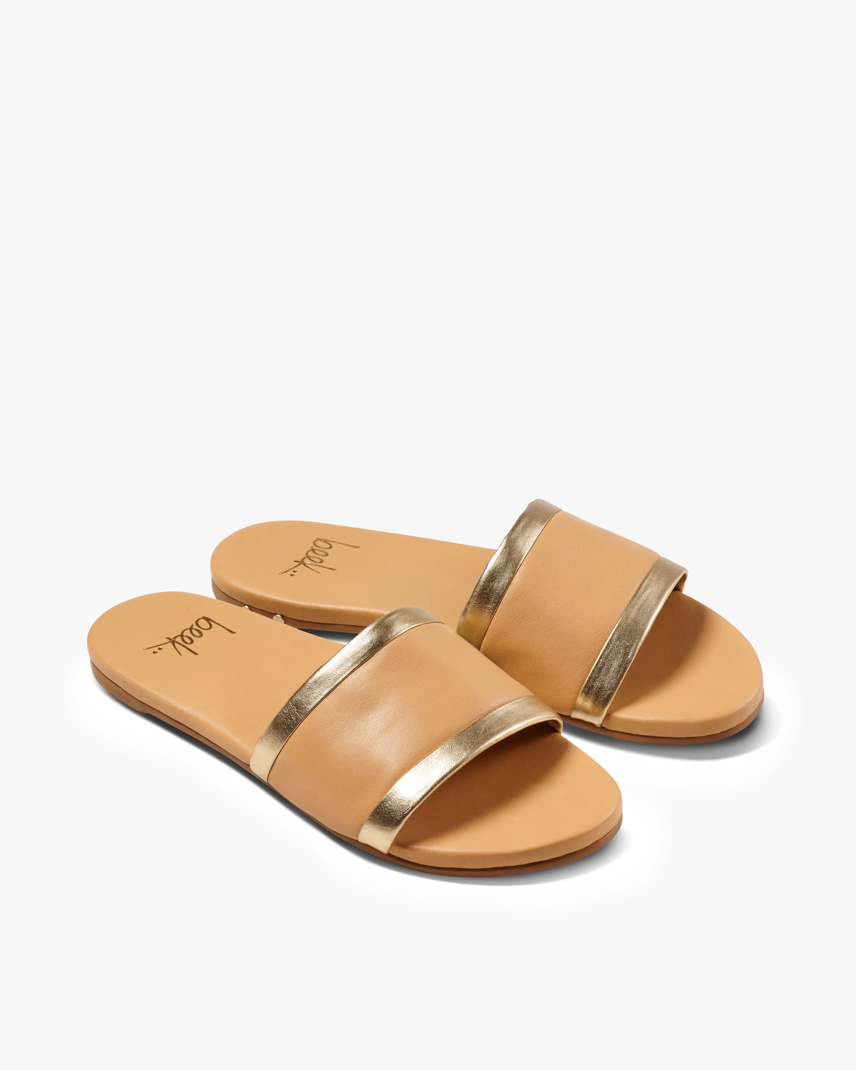 Shorebird | beek