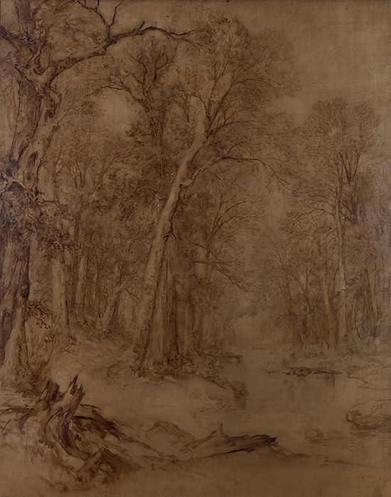 MVOVZQCV Vintage Prints Picture portrait painting Woodland Brook Preliminary Study by Asher Brown... | Amazon (US)