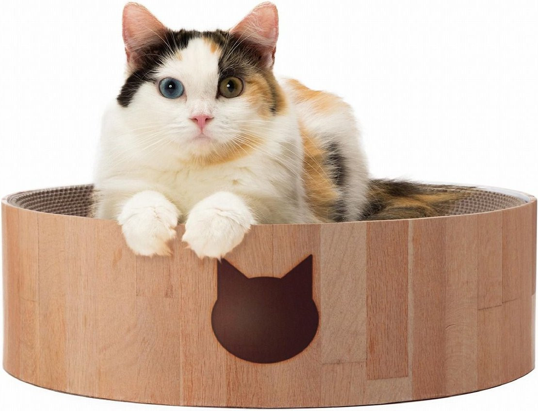 Necoichi Cozy Cat Scratcher Bowl Toy | Chewy.com