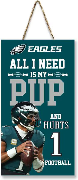 PETS FIRST NFL "All I Need Is My Pup & Football", Buffalo Bills - Chewy.com | Chewy