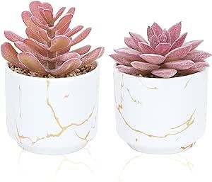 CEWOR 2 White Ceramic Pots Succulent Artificial Plants, Mini Succulents Plants Artificial, Fake P... | Amazon (US)