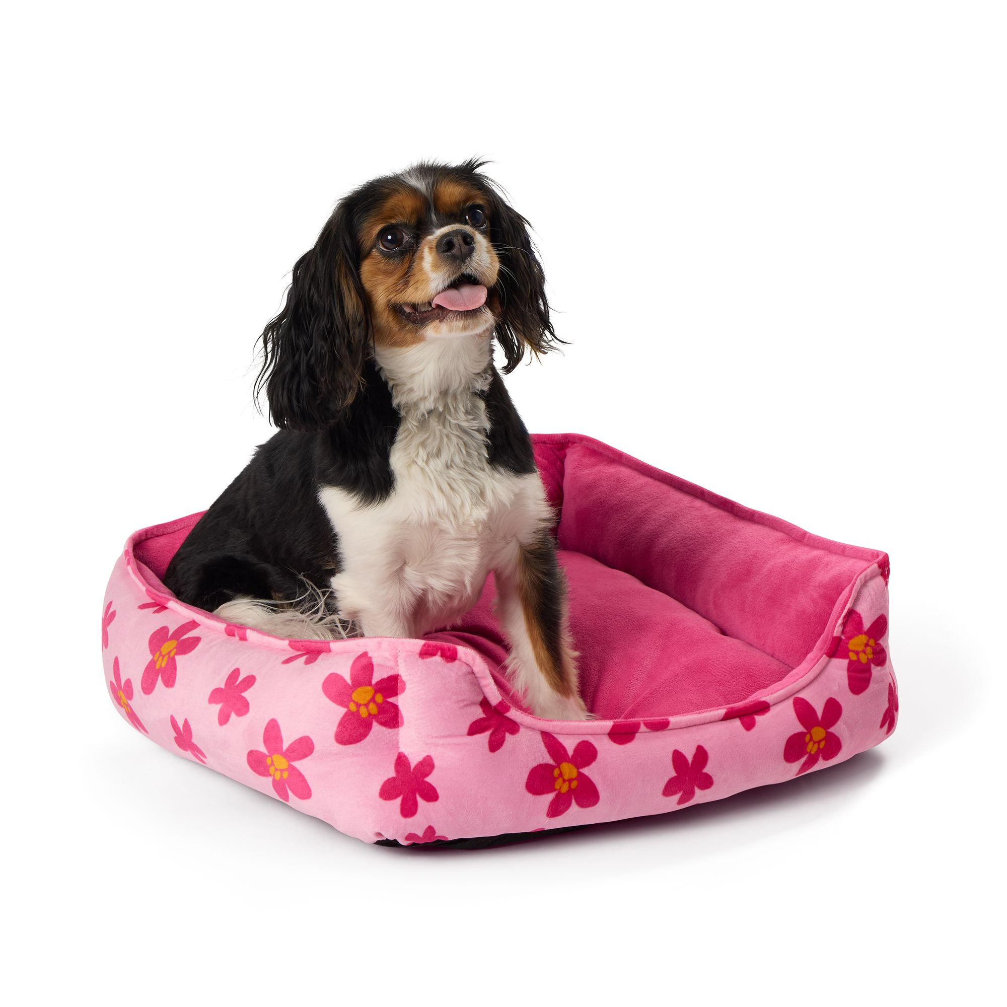 Top Paw® Floral Cuddler Dog Bed | PetSmart