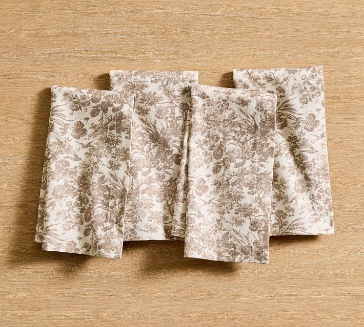 Sorrel Toile Organic Cotton Napkins - Set of 4 | Pottery Barn (US)