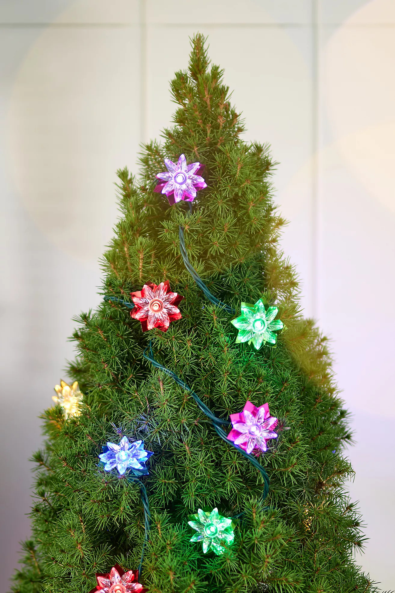 Multicolor Flower String Light | Anthropologie (US)