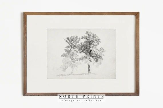 Tree Study Drawing | Vintage Sketch | Two Trees Etching PRINTABLE #371 | Etsy (US)