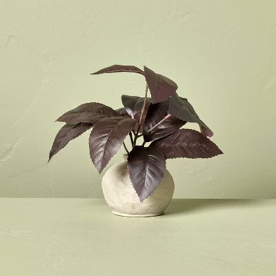 6.5" Black Plum Leaf Artificial Fall Arrangement - Hearth & Hand™ with Magnolia | Target