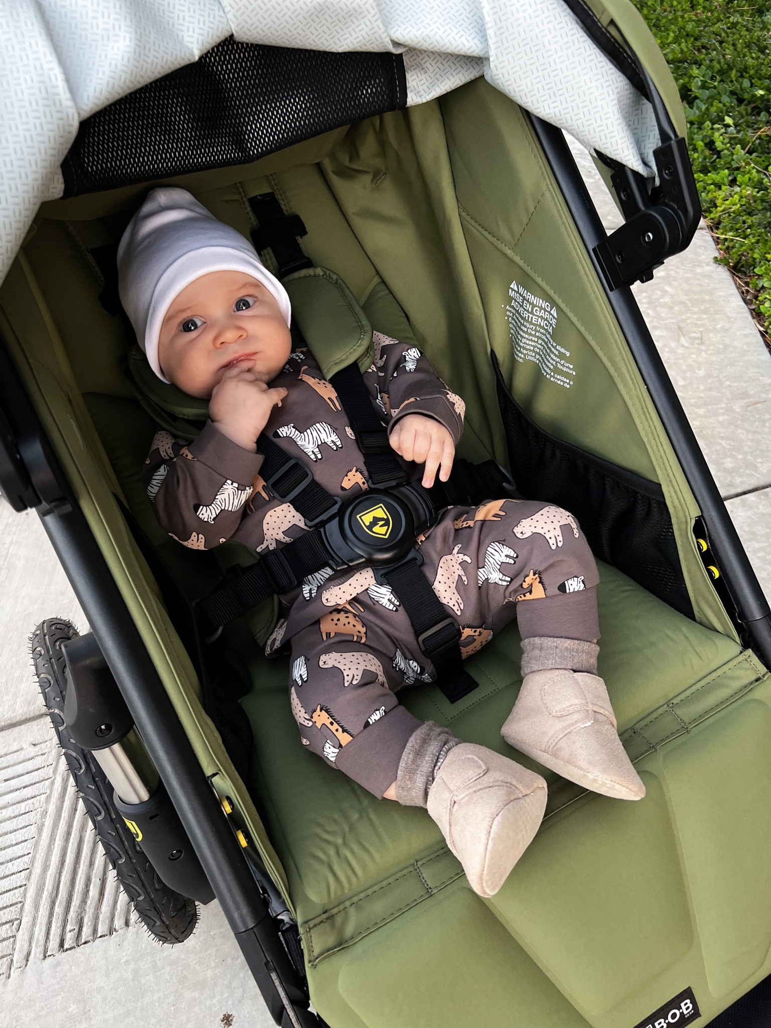 My TOP stroller 

#LTKkids #LTKfamily #LTKbaby