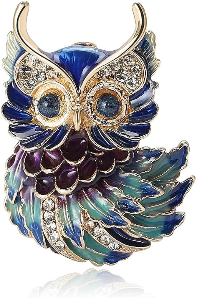 Owl Brooch Pins for Women, Blue Eyes Owl Brooch Pin, Cute Owl Animal Brooch Lapel Pin, Bohemian O... | Amazon (US)
