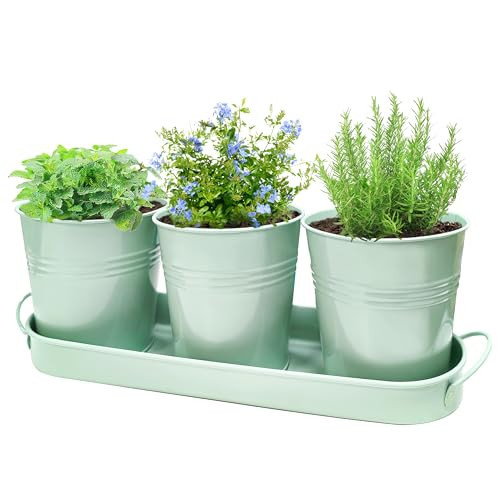 SORANGEUN Metal Herb Garden Planter Set with Tray, 3-Pack Green Zinc-Coated Windowsill Plant Pots with Drainage Holes & Handles for Indoor Outdoor Kitchen Garden | Amazon (US)