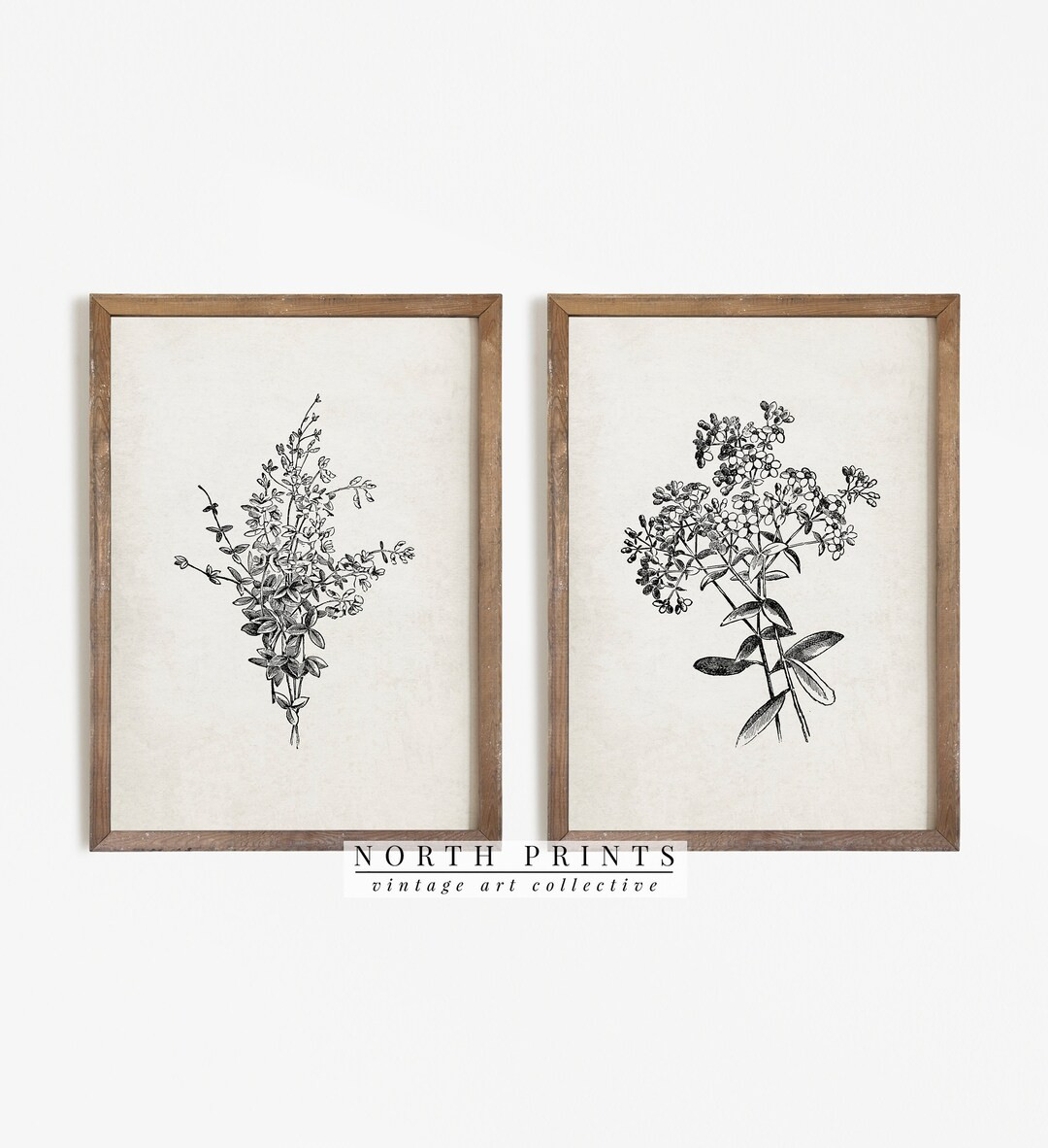 Antique Botanical Print SET | Vintage Sketch Country Flowers | Digital PRINTABLE Downloadable Nor... | Etsy (US)