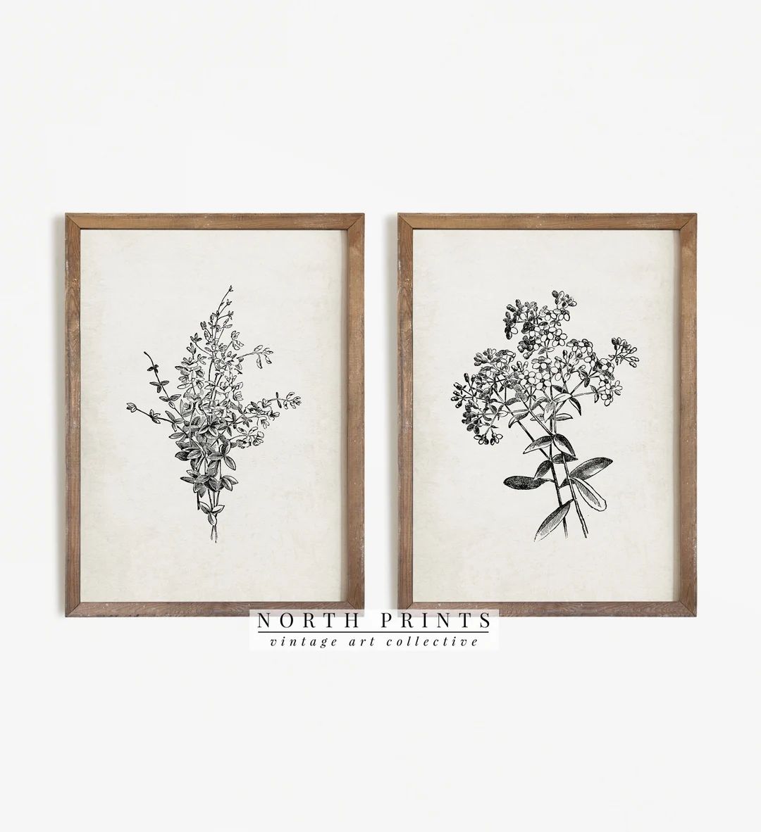 Antique Botanical Print SET | Vintage Sketch Country Flowers | Digital PRINTABLE Downloadable | S... | Etsy (US)