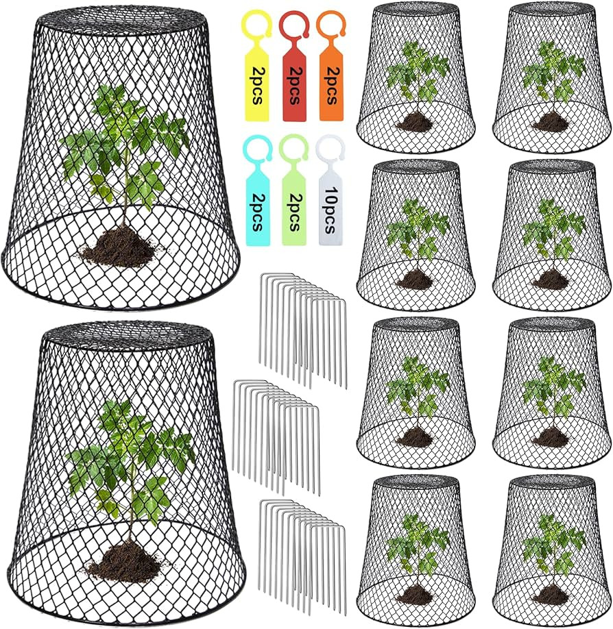 10 Pcs Chicken Wire Cloche Plant Covers Garden Netting Metal Heavy Duty Plant Protectors from Ani... | Amazon (US)