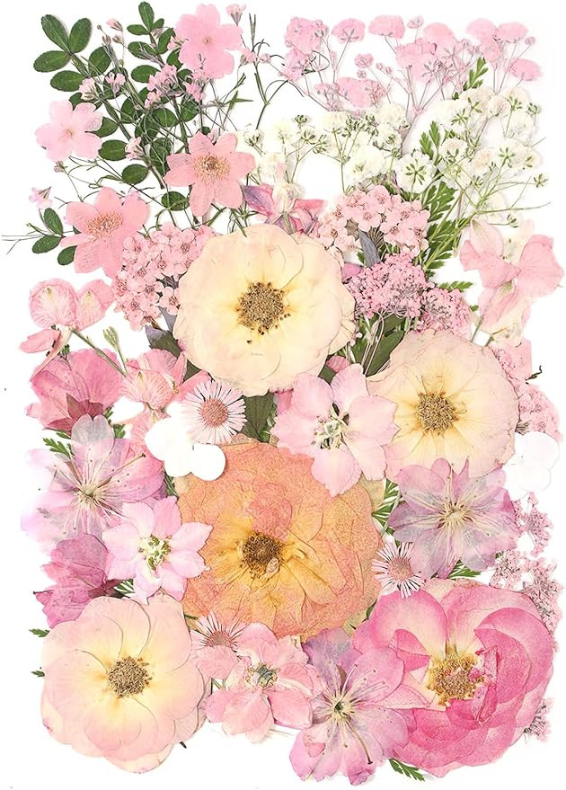 AHTONG 14 Types Pink Dried Pressed Flowers for Craft, Leaf Plant Herbarium for Resin Molds Jewelr... | Amazon (US)
