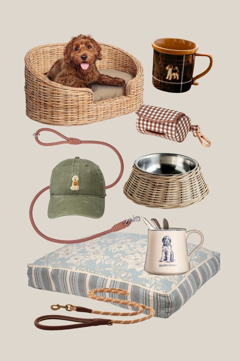Cute finds for the dog/dog lovers.