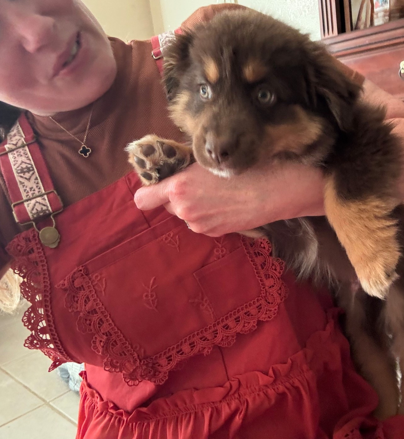 Falling for fall 🍂 This tiered maxi dress is cozy-chic and the perfect gift idea! 🎁 Black Friday + Cyber Monday preview—get ahead on your Christmas shopping with this cutie! Puppy for attention 🥰

#LTKFindsUnder100 #LTKStyleTip #LTKootd