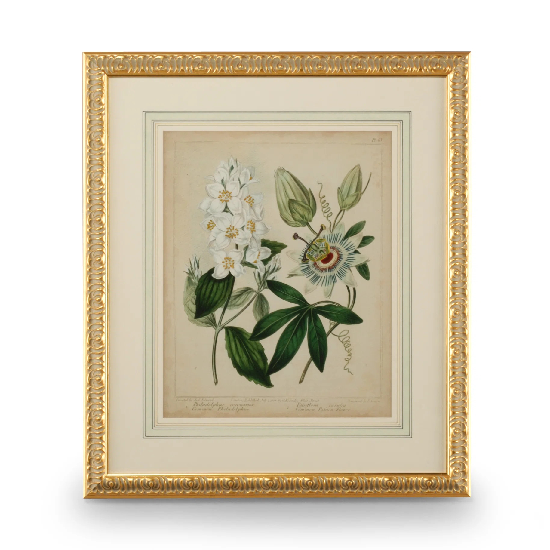 " Cottage Florals II " | Wayfair North America