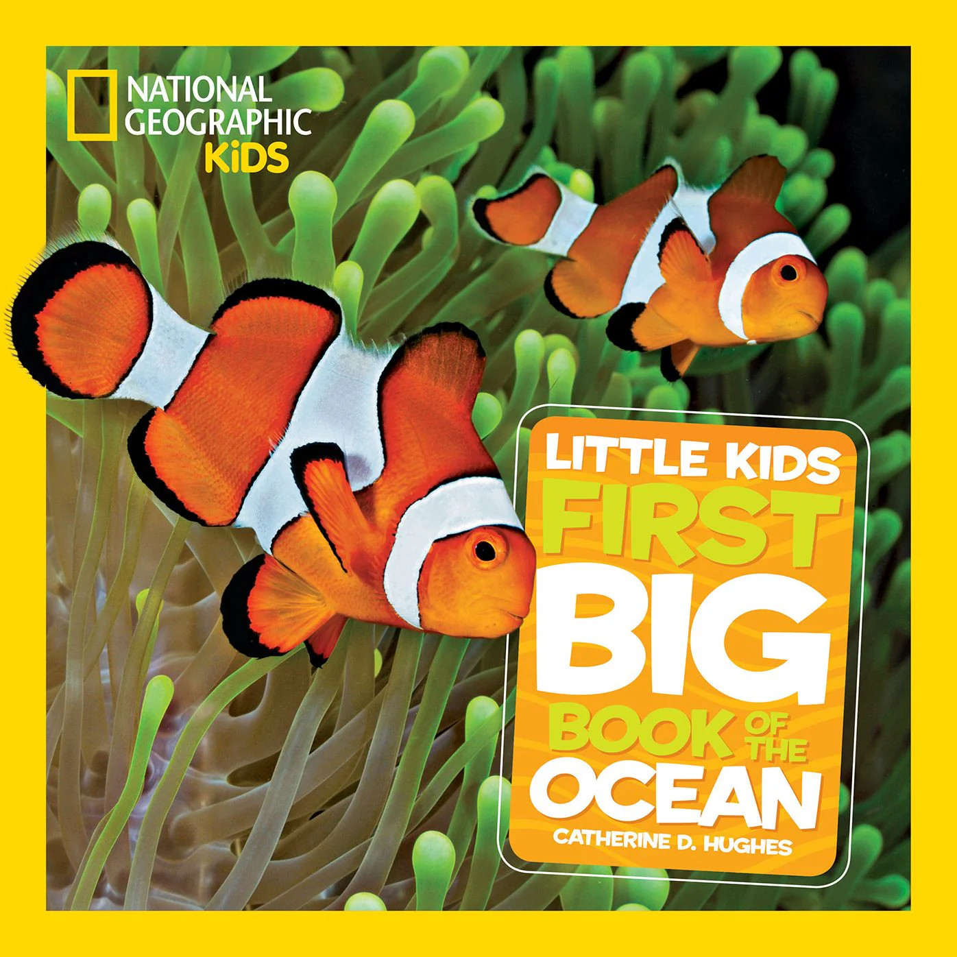National Geographic Little Kids First Big Book of the Ocean | Barnes & Noble
