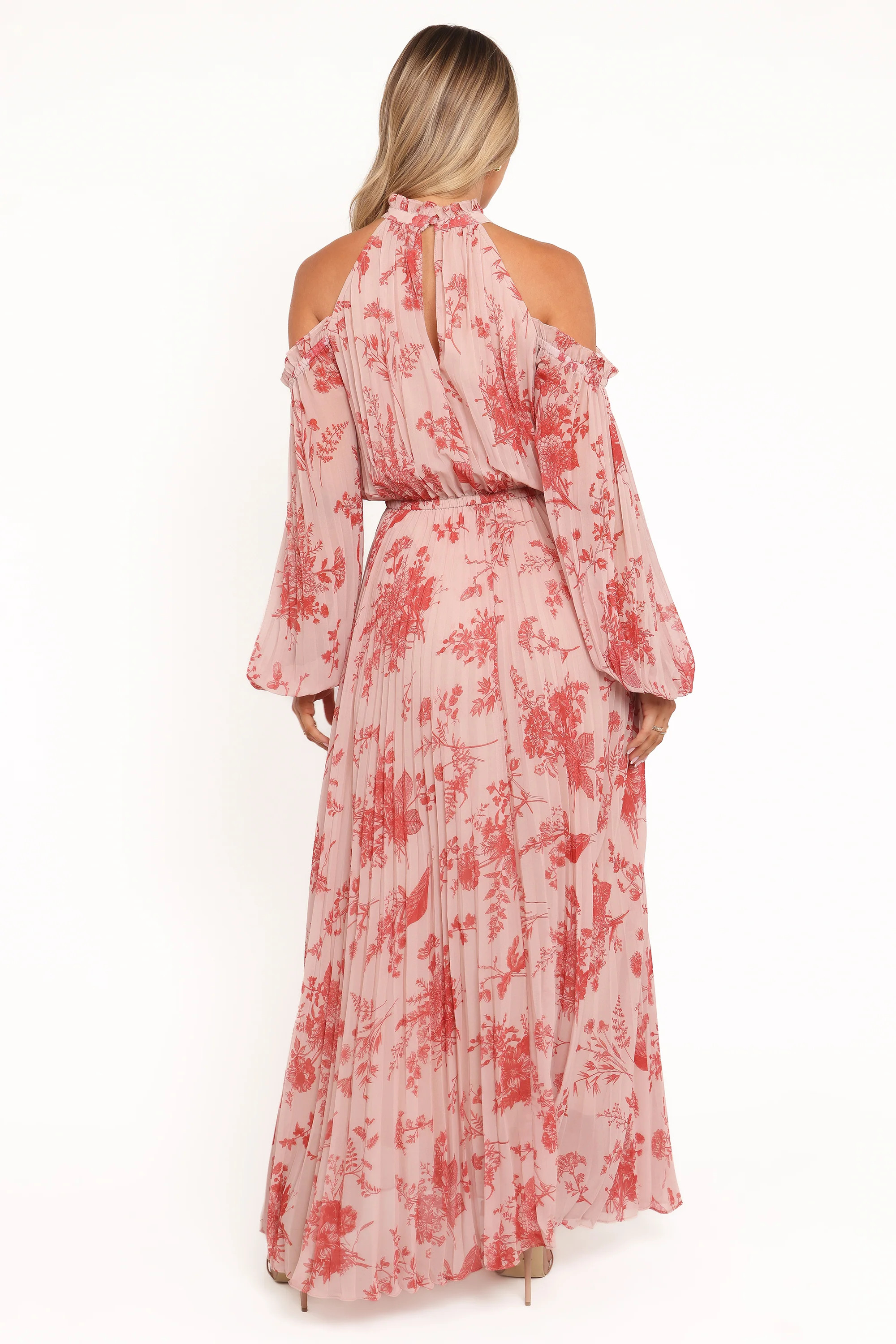 Hilary Pleated Maxi Dress - Red Floral | Petal & Pup (US)