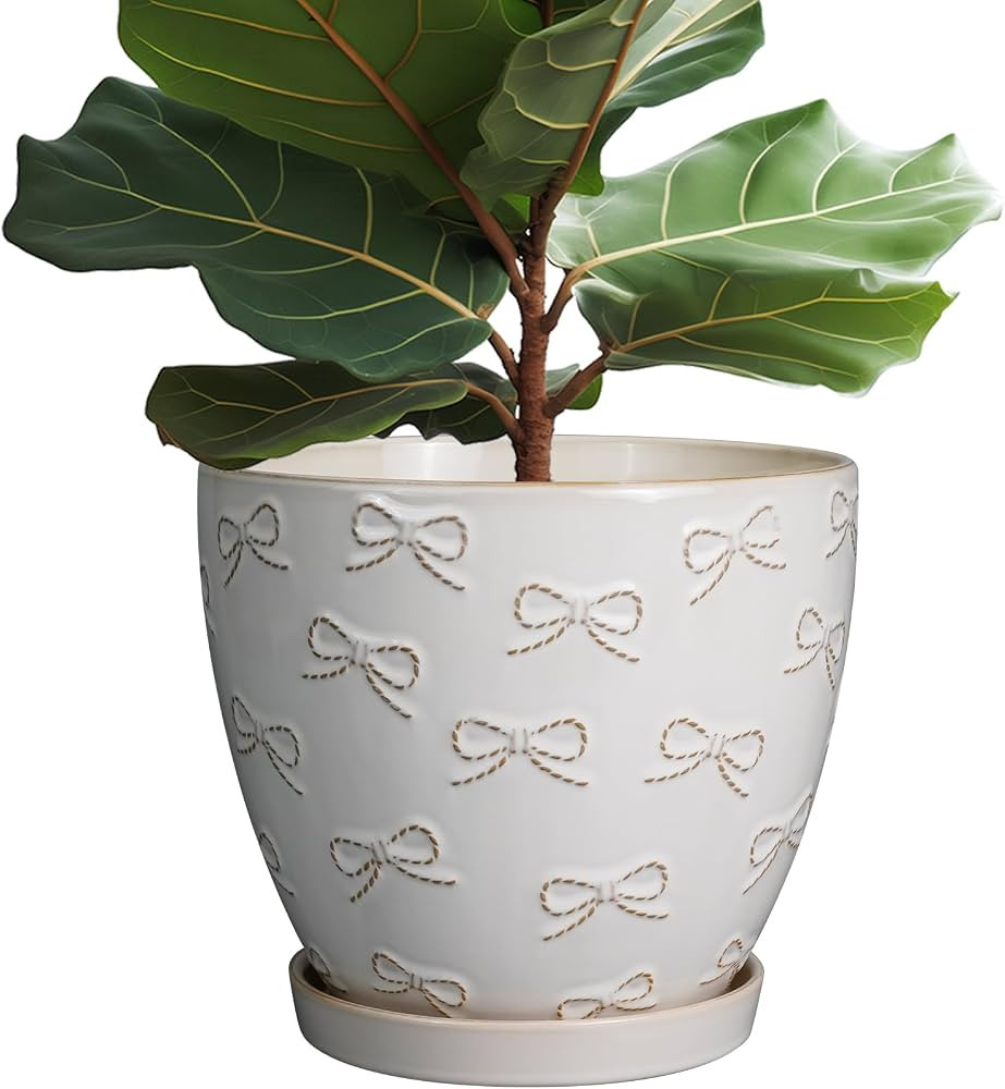 Pots for Plants 10 Inch - Ceramic Planter Large Plant Pot for Indoor Plants Outdoor Round Flower ... | Amazon (US)