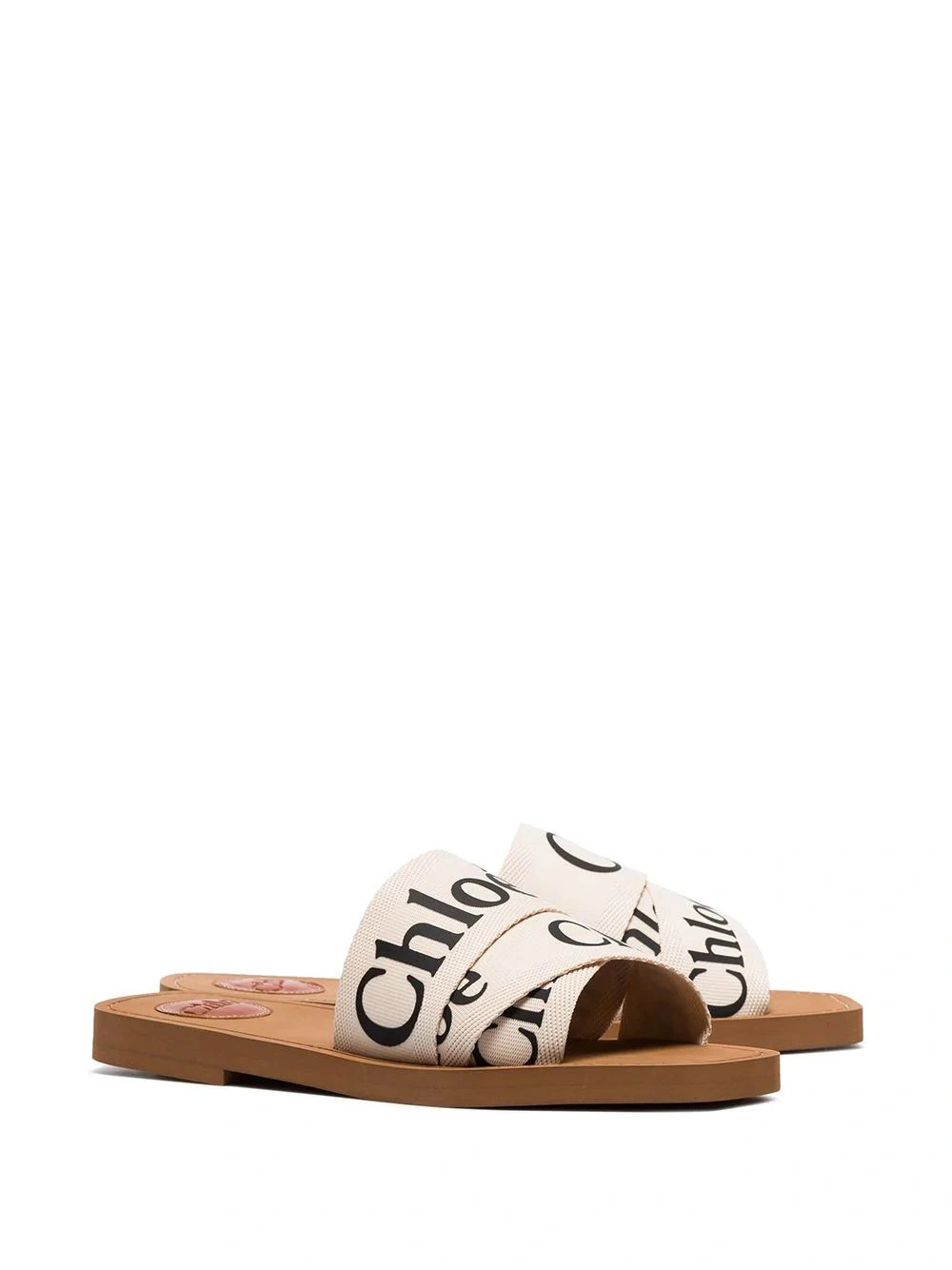 Logo Canvas Slides Neutral | The Webster