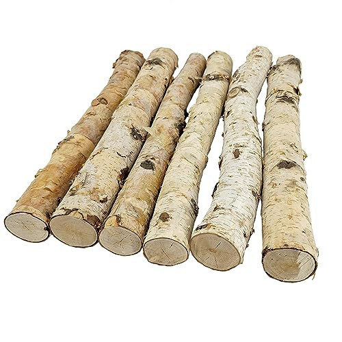Nature Vibe 6 Pack 16 Inches Birch Logs for Fireplace Decor, Natural Birch Branches for Decoration, Unfinished Wood as DIY Crafts or Photo Prop | Amazon (US)