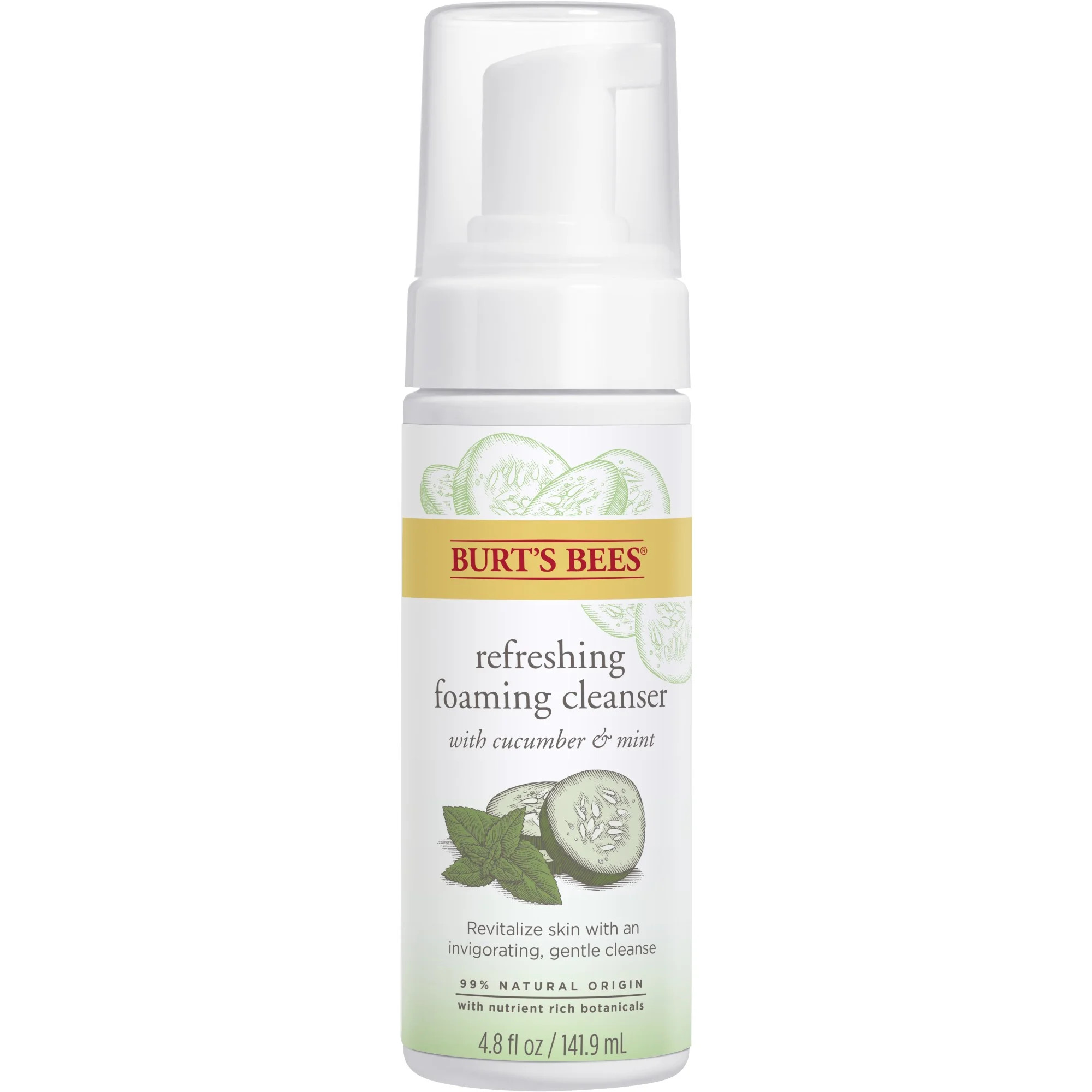 Burt's Bees Gentle Foam Cleanser, Normal to Combination Skin, 4.8 oz | Walmart (US)