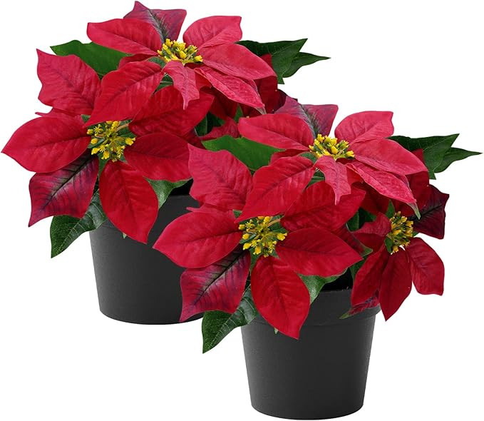 Poinsettias Artificial Christmas Flowers Tabletop Small Red Poinsettia Plant Artificial 9 Inch Fa... | Amazon (US)