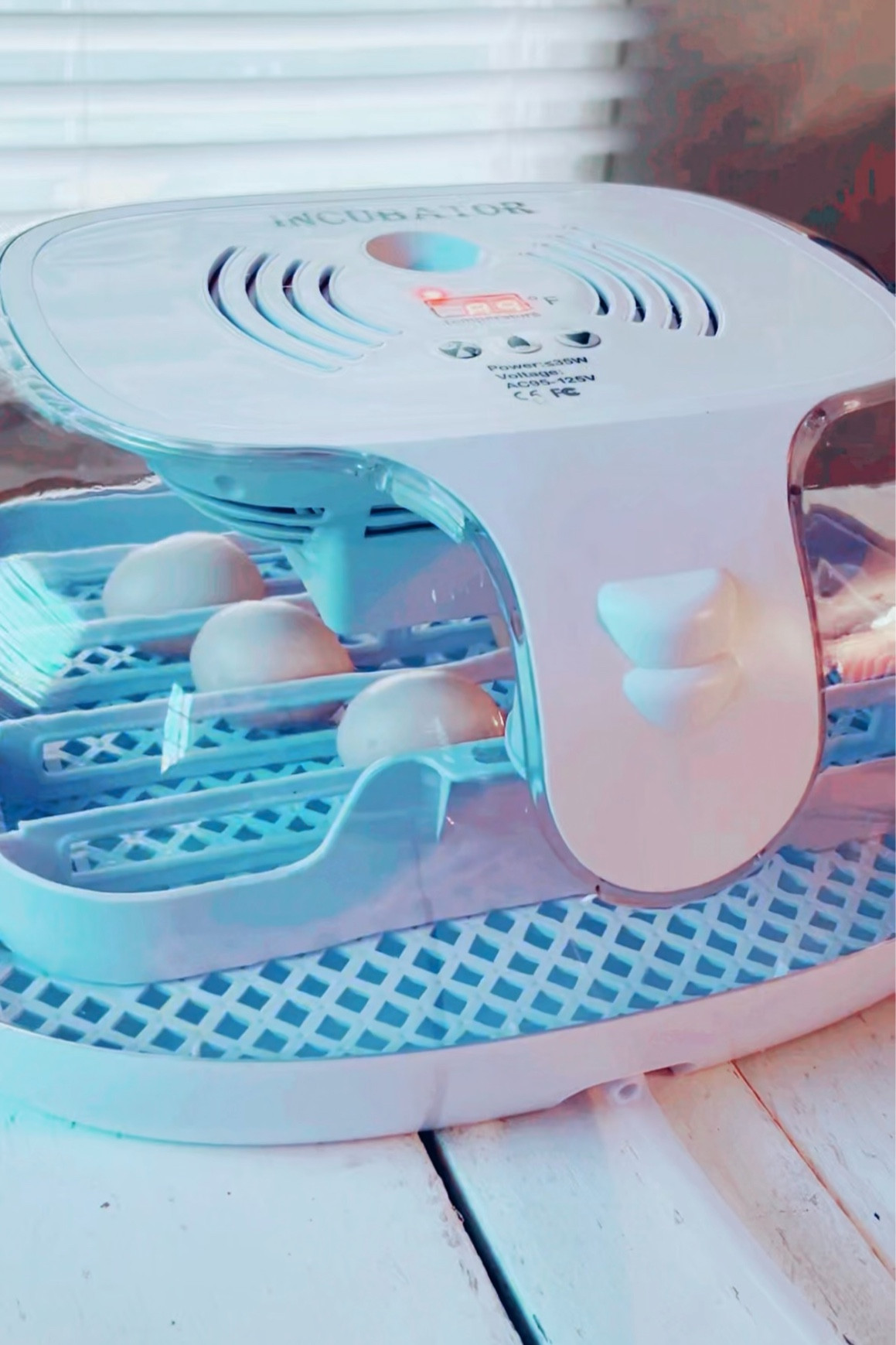 🐣 My first time hatching baby chickens was a success! And all Thanks to this amazing incubator by Ajumpoo on Amazon! It’s easy to set up, perfect for beginners to use, and I got a 100% hatch rate. Definitely a must have for a beginner at egg incubating! 

#LTKHoliday #LTKSeasonal #LTKGiftGuide