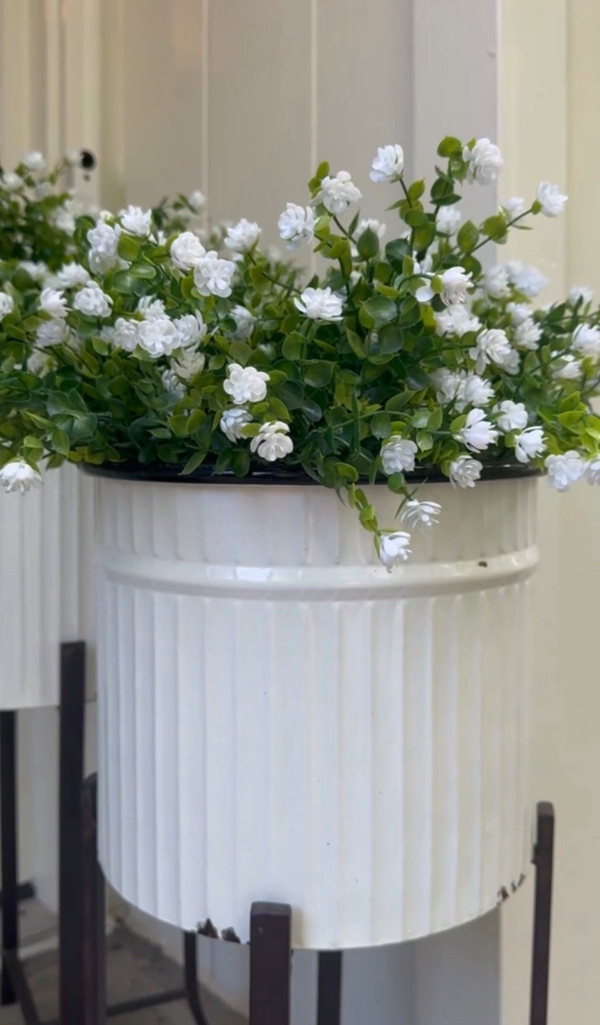 Clean, classic, and effortlessly pretty 🤍 This ribbed white planter on a metal plant stand is styled with faux white florals and greenery stems for an easy, no-maintenance look. Perfect for an entryway, front porch, patio, or indoor plant decor, this combo adds height, texture, and timeless charm to any space. A great option if you love neutral home decor with a modern farmhouse feel.

#eanesinteriors #planter #whiteplanter #ribbedplanter #plantstand #metalplantstand #fauxplants #fauxflowers #artificialplants #homedecor #neutraldecor #modernfarmhouse #entrywaydecor #porchdecor #ltkhome #ltkdecor

#LTKSeasonal #LTKHome #LTKdayinmylife