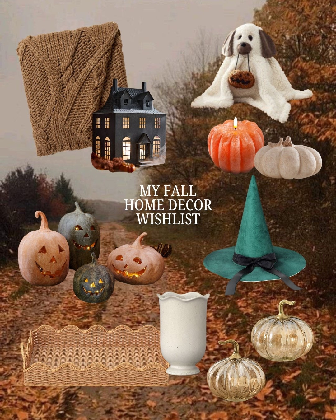 my fall home decor wishlist!

fall, fall decor, home decor, seasonal decor, Halloween decor, fall finds, Halloween finds, pumpkins, scallop tray, cable knit blanket, anthro finds, target finds, pottery barn fall,

#LTKHome #LTKSeasonal #LTKFindsUnder50