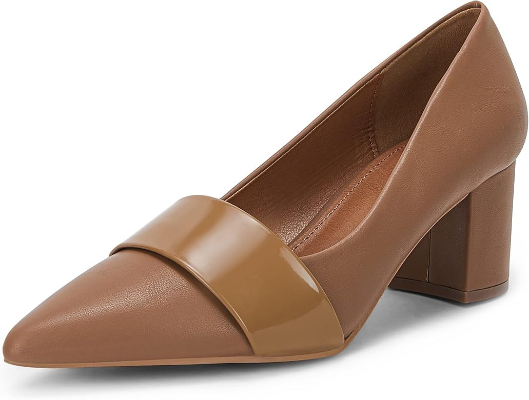 Mafulus Women's Chunky Low Heels Pumps Pointed Toe Ladies Office Buckle Dress Shoes | Amazon (US)