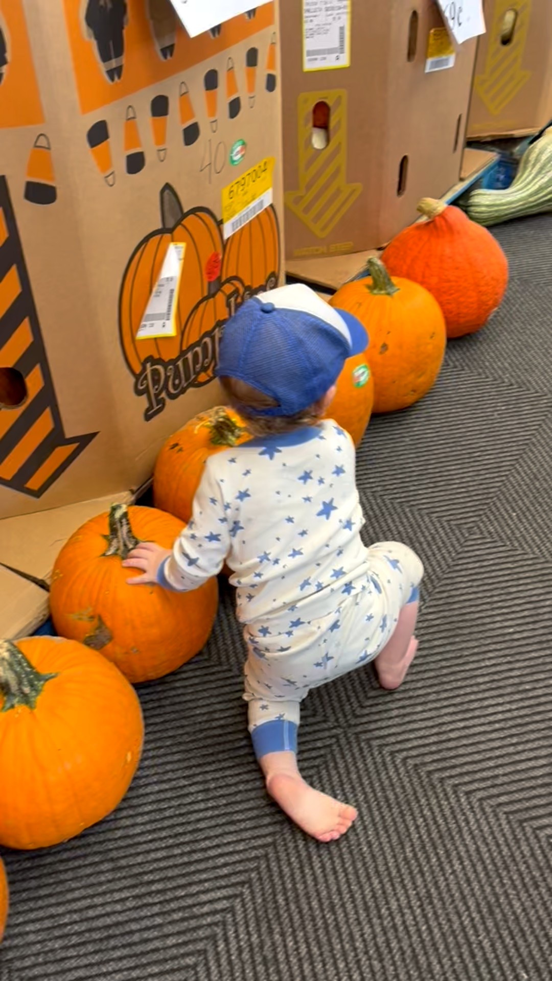 Love these organic cotton toddler pajamas by Honest Baby! Perfect for every season! 

#LTKBaby #LTKKids #LTKSeasonal