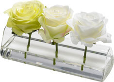 Ombre Rose Trio | Diane James Home