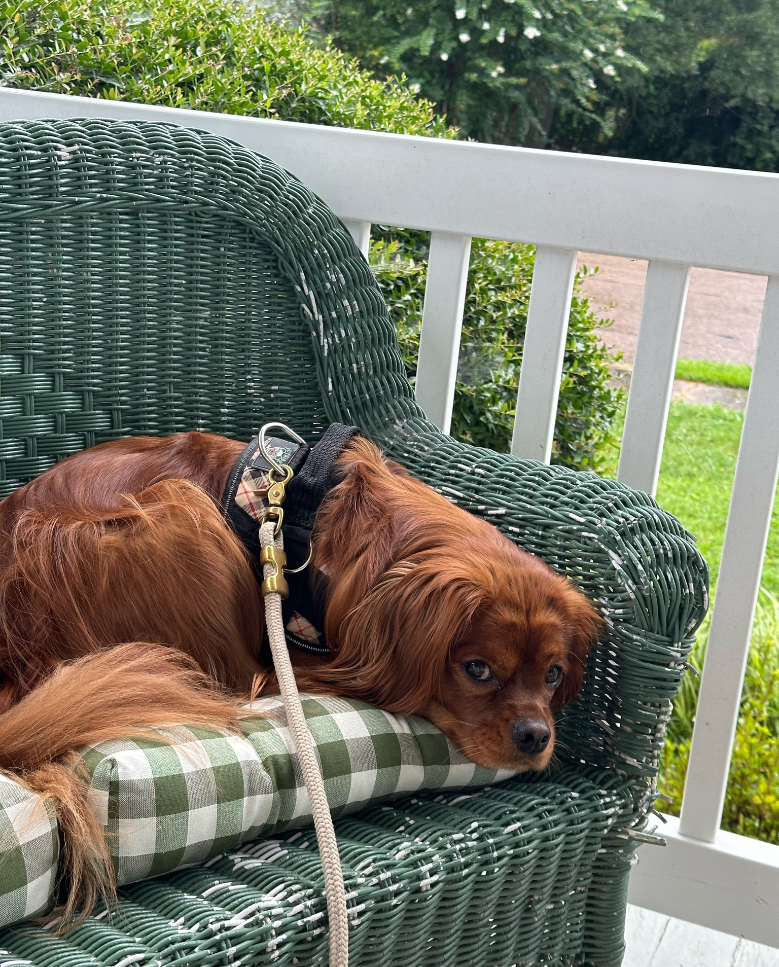 Summer on the porch! Linking a similar bench, this one I found at a flea market!

#LTKHome