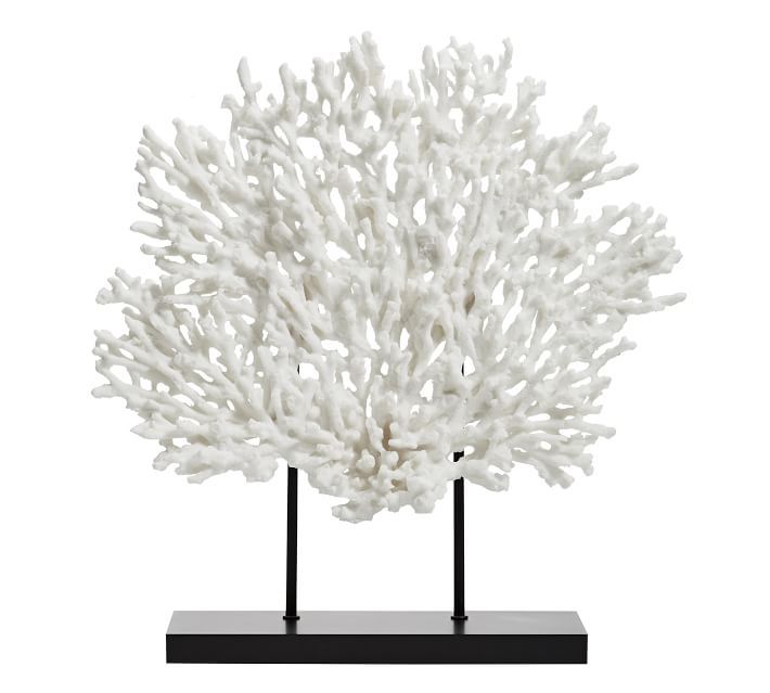 Faux Coral on Black Stand | Pottery Barn (US)