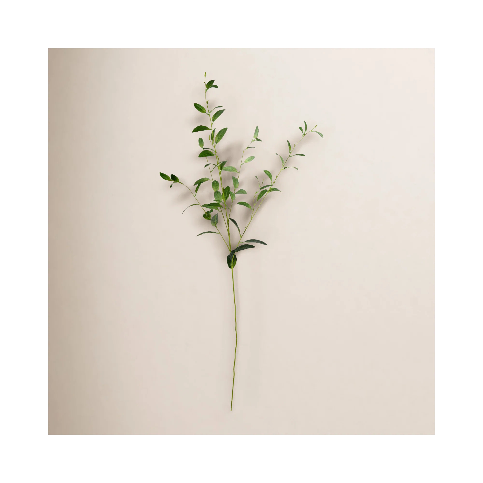 Leaf Spray | Joss & Main